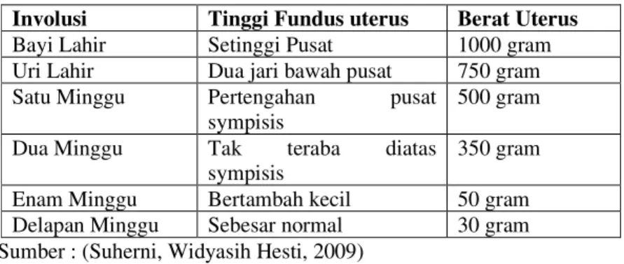 Tabel 3.0  Involusi Uterus Mengenai tinggi fundus uterus  Involusi   Tinggi Fundus uterus  Berat Uterus 