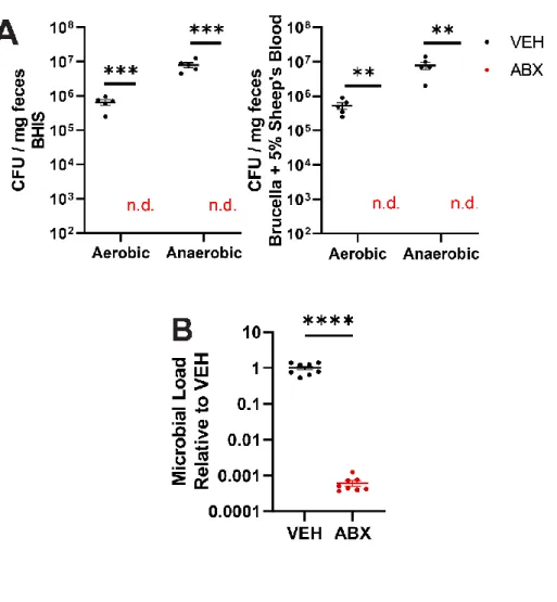 Figure S1. Physiological and behavioral measurements of microbiota-depleted mice reveal  effects on food intake are robust and depend on dietary composition, Related to Figure 1