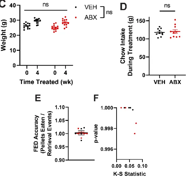 Figure S1. Physiological and behavioral measurements of microbiota-depleted mice reveal  effects on food intake are robust and depend on dietary composition, Related to Figure 1