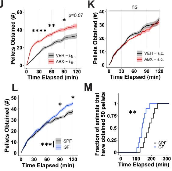 Figure S1. Physiological and behavioral measurements of microbiota-depleted mice reveal  effects on food intake are robust and depend on dietary composition, Related to Figure 1