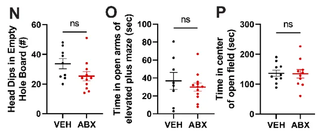 Figure S1. Physiological and behavioral measurements of microbiota-depleted mice reveal  effects on food intake are robust and depend on dietary composition, Related to Figure 1