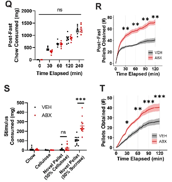 Figure S1. Physiological and behavioral measurements of microbiota-depleted mice reveal  effects on food intake are robust and depend on dietary composition, Related to Figure 1