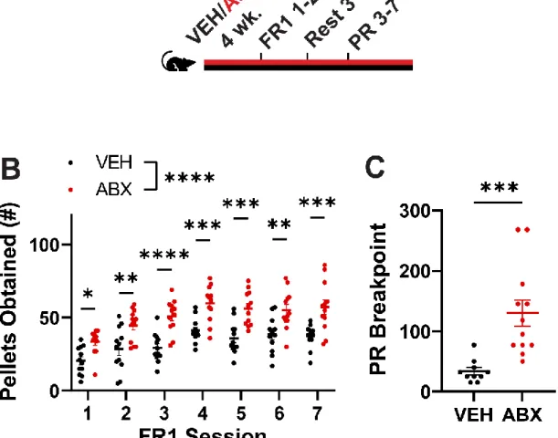 Figure 2. Gut microbiota reduce the incentive salience of a high-sucrose reward and  decrease activity in mesolimbic brain regions linked to reward behaviors