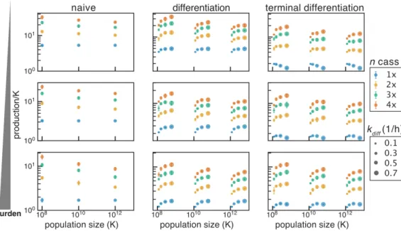 Figure 4.4: Stochastic simulations of naive, differentiation and terminal differenti- differenti-ation architectures without plasmid mutdifferenti-ation or plasmid loss
