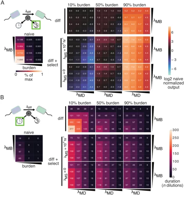 Figure 2.2: Differentiation architectures improve duration and output for high bur- bur-den circuits