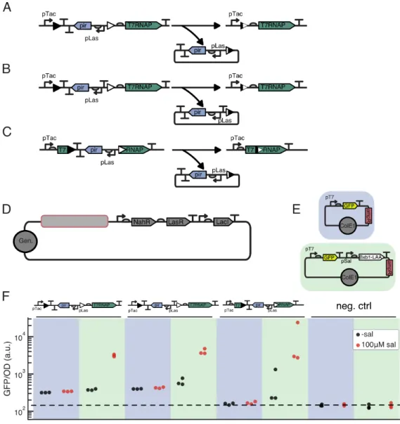 Figure 2.4: Integrase mediated activation allows leak-free expression of T7 RNAP.