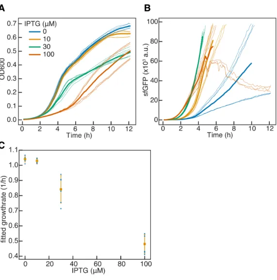 Figure 2.6: Characterization of burden level of naive T7 RNAP driven GFP. JS006 cells with naive IPTG inducible T7RNAP were transformed with a high copy ColE1 plasmid with AmpR