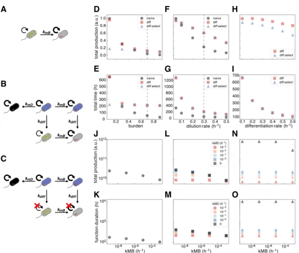 Figure 3.1: Deterministic modeling of strategies for expression of burdensome functions