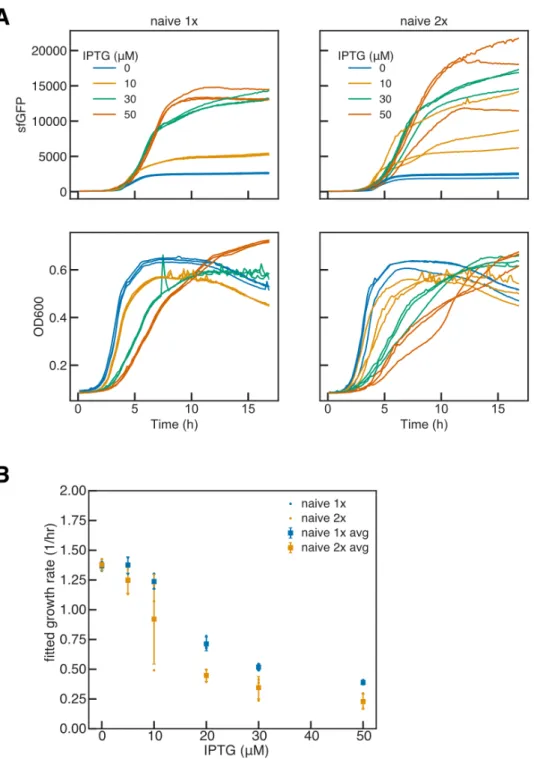 Figure 3.7: Characterization of burden level of naive T7 RNAP driven GFP. JS006 cells with 1 and 2 copies of naive IPTG inducible T7 RNAP were transformed with a high copy ColE1 plasmid with kanamycin resistance
