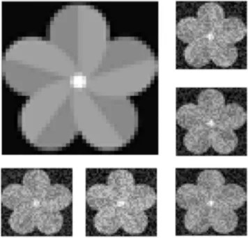 Figure 6.1: Cartoon demonstrating stimulus generation method. If a flower is given as the seed stimulus, taking random steps in stimulus space will give rise to several noisy-looking pictures of the same flower.