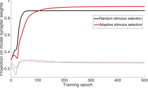 Figure 6.3: Projection score over the course of training for two trained ANNs with different training algorithms