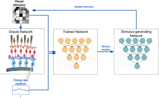Figure 6.5: Schematic of the active stimulus-generation algorithm.