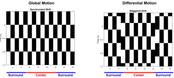 Figure 4.1: Illustration of global and differential motion stimuli. In each plot, the vertical axis represents time, while the horizontal represents space