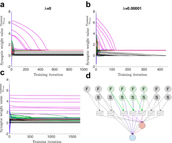Figure 4.10: Evolution of synaptic weights over time. Curves are colored to match their corresponding synapses in d