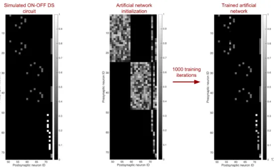 Figure 4.14: Same as Fig. 4.13, but with a different random initialization.