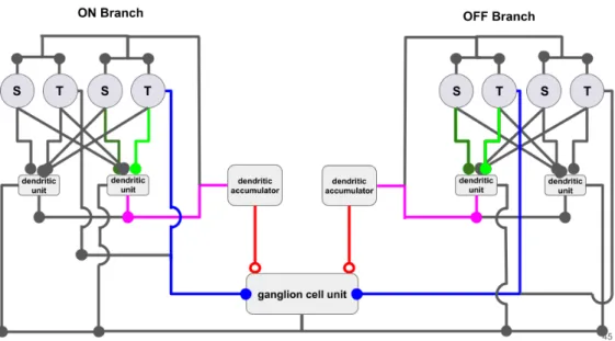 Figure 4.19: Initialized ANN structure used to replicate experimental result in [90].