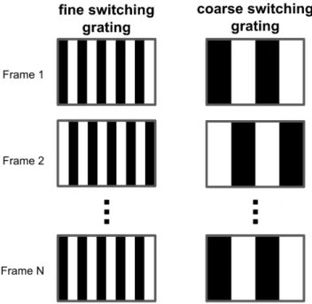 Figure 5.2: Contrast-reversing grating stimulus