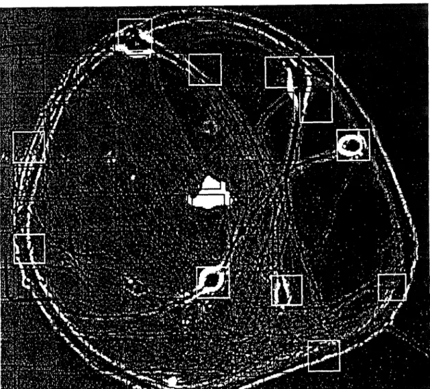 Figure 5.10  Sample video  image  acquired by OPTIK, showing the cell bodies and processes of  a five-neuron  microculture