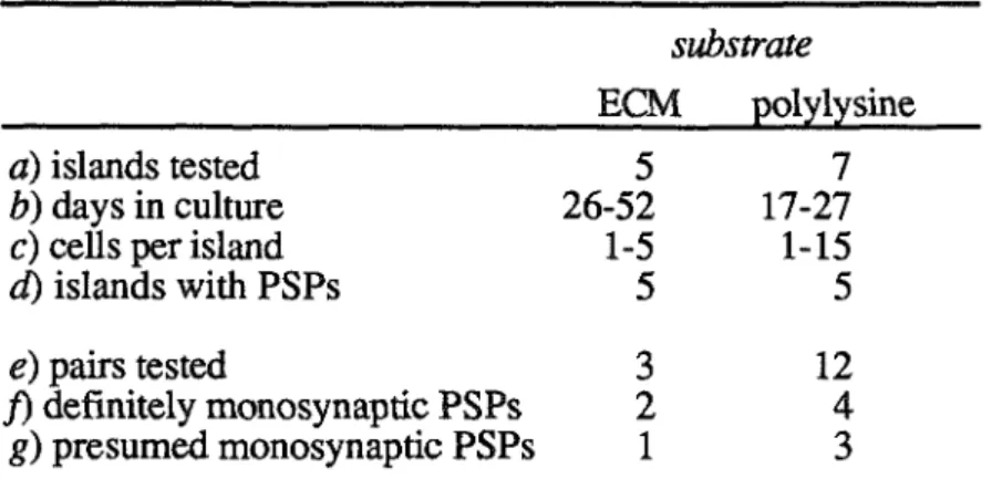 Fig 7  .4b  shows recordings from the only cell in a single-cell island.  Stimulation of  the cell revealed an autapse--a synapse that the cell made on itself-which was evident as a  distortion of the normal shape of the AP