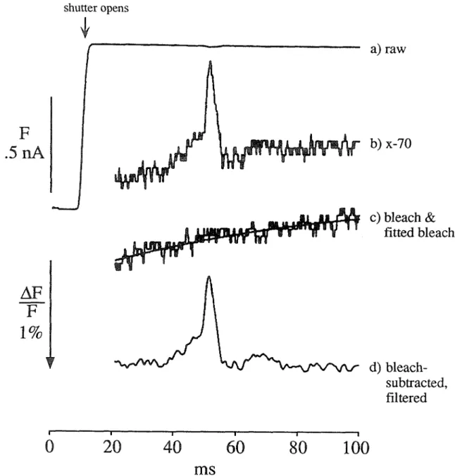 Figure 2.5  Bleach-subtraction and filtering of the optical signal.  a)  Raw fluorescence trace