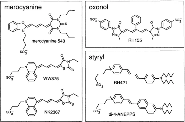 Figure 2.7  Structures for six voltage-sensitive dyes.  Sources for structures are as follows: 