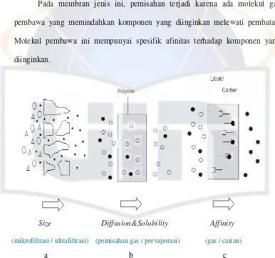Gambar 2. Membran Berdasarkan Struktur dan Prinsip Separasi. (a) Membran Berpori, (b) Membran Tidak Berpori, (c) Membran dengan Pembawa 