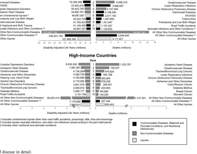 Figure 1.4 Burden of disease in detail.