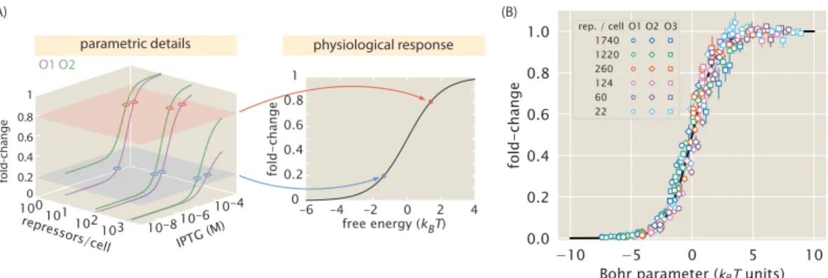 Figure 2.7: Fold-change data from a broad collection of different strains collapse onto a sin- sin-gle master curve