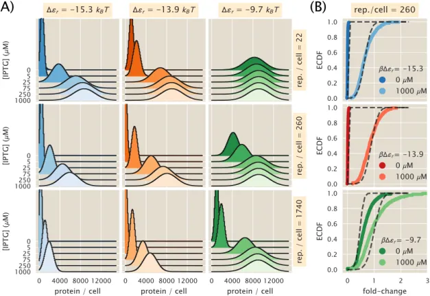 Figure 3.4: Maximum entropy protein distributions for varying physical parameters. (A) Pre- Pre-dicted protein distributions under different inducer (IPTG) concentrations for different  combina-tions of repressor-DNA affinities (columns) and repressor copy