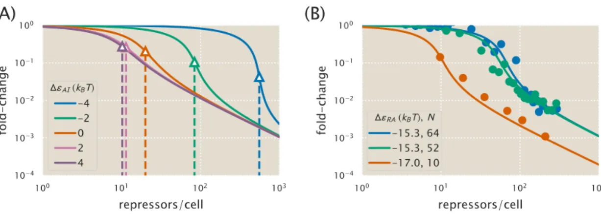 Figure 4.2: Fold-change of multiple identical genes. (A) In the presence of N = 10 identical pro- pro-moters, the fold-change Eq