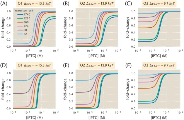 Figure 4.3: Induction with variable R and multiple specific binding sites. Induction profiles are shown for strains with variable R and ∆ε RA = − 15.3, − 13.9, or − 9.7 k B T
