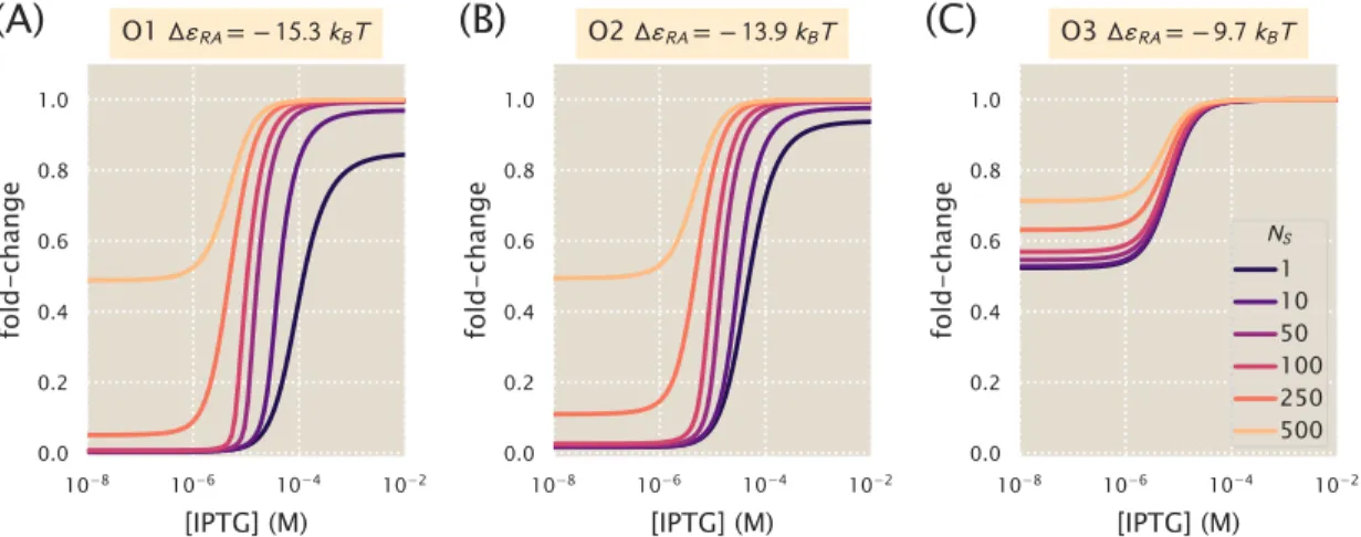 Figure 4.4: Induction with variable specific sites and fixed R. Induction profiles are shown for strains with R = 260 and ∆ε RA = − 15.3 k B T, ∆ε RA = − 13.9 k B T, or ∆ε RA = − 9.7 k B T
