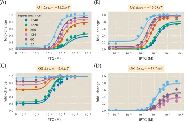 Figure 4.19: Global fit of dissociation constants, repressor copy numbers, and binding energies.
