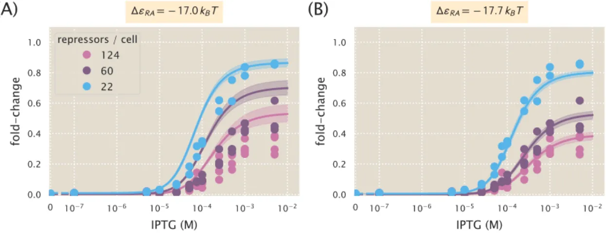 Figure 4.21: Predictions of fold-change for strains with an Oid binding sequence versus ex- ex-perimental measurements with different repressor copy numbers