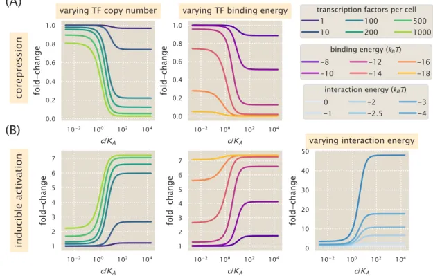Figure 4.28: Representative fold-change predictions for allosteric corepression and activation.