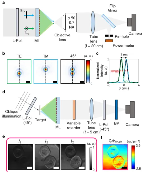 Figure 2.A.2: Phase gradient imaging with a single bifocal metasurface lens. a Schematic illustration of the optical setup used for capturing focuses of the single bifocal metasurface lens and measuring focusing efficiencies