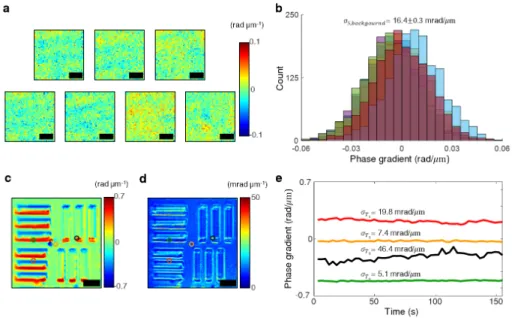 Figure 2.A.8: Measurement of spatial and temporal noise levels. a Background phase gradient images captured in an area with dimensions of 17.6×17.6 𝜇 m 2 in the central part of the seven different measurements with the seven different phase resolution targ