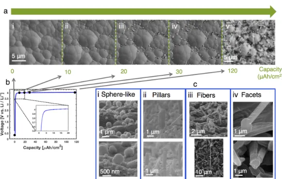 Figure 3.1: (a) Time-lapse SEM images that depict morphology evolution viewed from above the Cu layer during charging at 0.3 mA/cm 2 