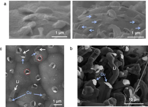 Figure 3.2: (a) Side-view SEM images showing bumps in the Cu (blue arrows) caused by Li growing underneath