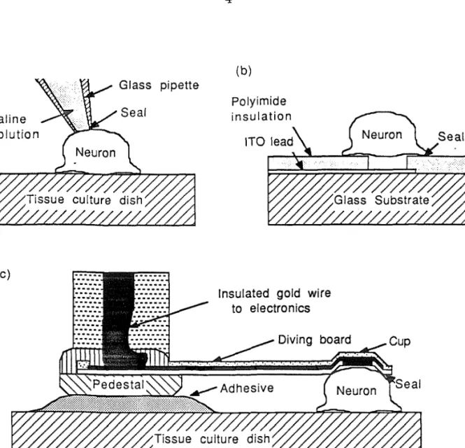 Figure 1.1. (a) Schematic view of a conventional glass micropipette patch electrode  being used to record from a cell, (b) Neuron sealed to an electrode in the bottom of a  dish, (c) Diving-board electrode in contact with a cell.