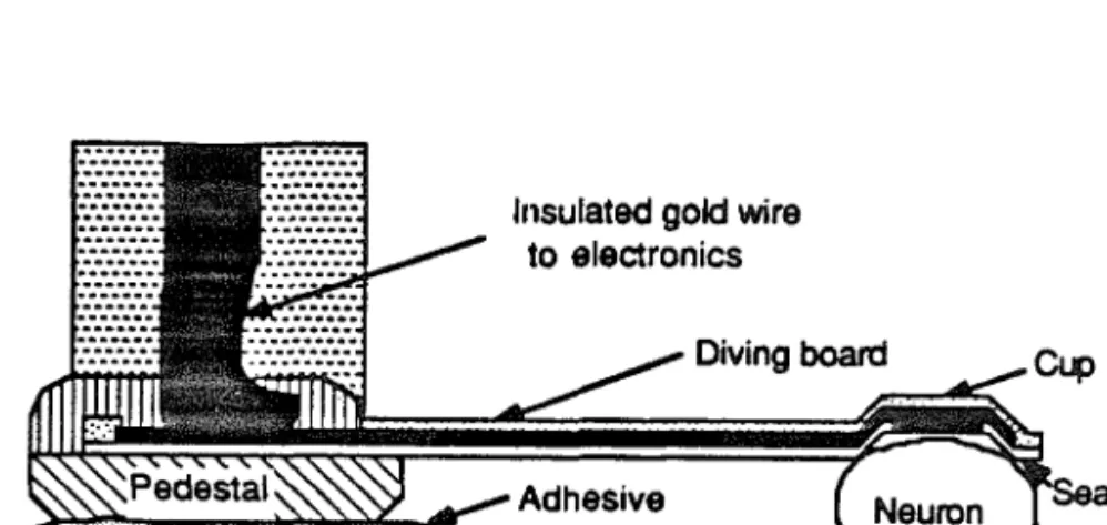 Figure 3.1. Schematic of a diving-board electrode in contact with a cell.