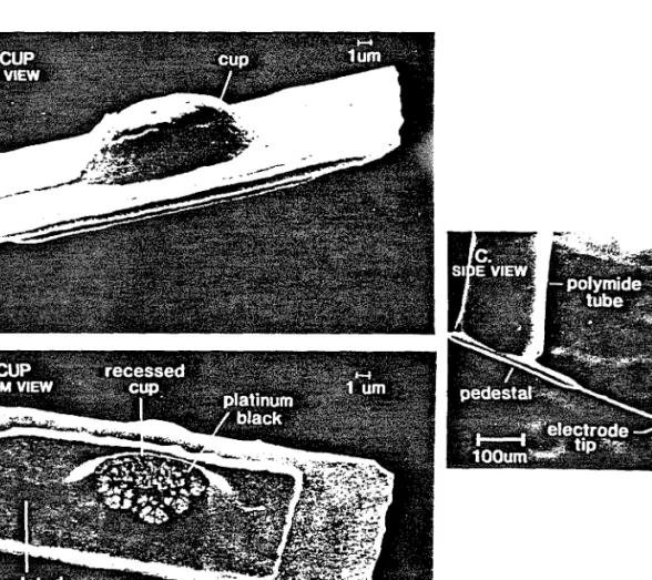 Figure 3.8. A finished diving-board electrode, (a) top view of the cup structure that  is to fit above the neuron, (b) bottom view of the cup structure, (c) overview of the  electrode.