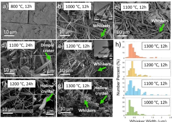 Figure 4.4. Scanning electron micrographs of boria-coated AlN after 12 h hold at  described oxidation temperatures (a-g), including insets of transmission electron  microscopy micrographs (b,e)