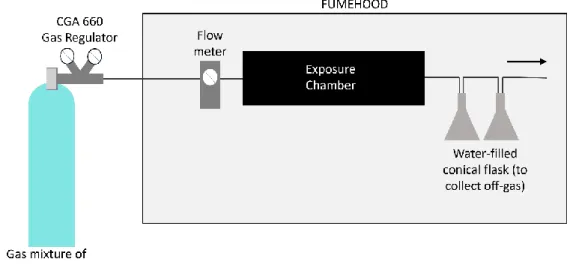 Figure 5.1. Schematic of SO 2  exposure set-up, showing gas regulator, flow meter,  stainless-steel tubing, SiC tube acting as the exposure chamber, and two water-filled 