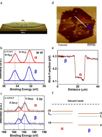 Figure 4.5.  Chemical bonding and work function characterization in heterogeneous domains: (a)  Schematic of the monolayer h-WS 2  on Au (111) / mica substrate