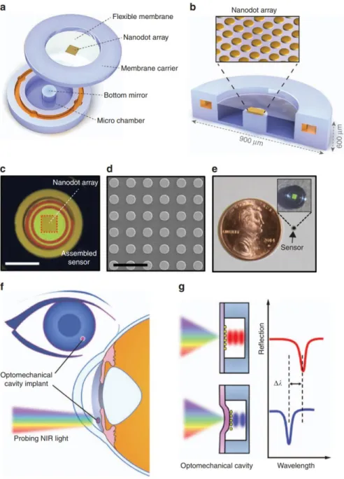 Figure 2.3.1 A microscale nanophotonic intraocular pressure (IOP) sensor and operating principles