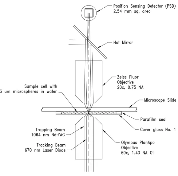 Figure 4.1  Schematic drawing of the optical tweezer and detection arrangement used for the experiment.