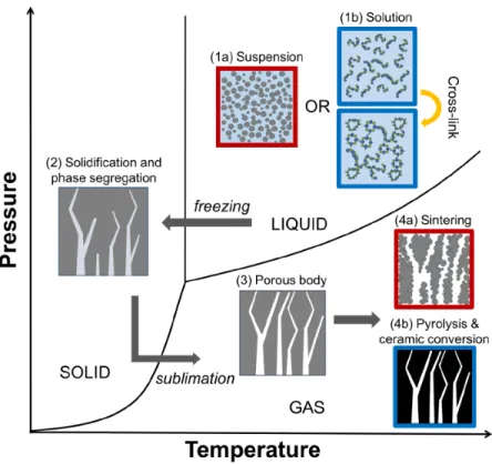 Figure 2.1: Schematic of the freeze casting process showing solution/suspension preparation, solidification, sublimation, and sintering/pyrolysis steps [125].