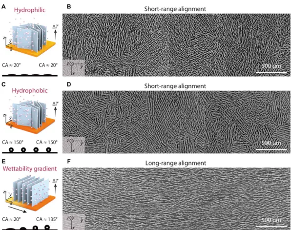 Figure 2.8: Solvent nucleation control via a wettability gradient enables a long-range pore alignment from [201]