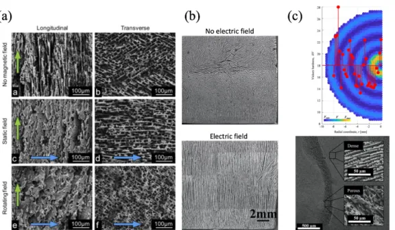 Figure 2.9: SEM images showing (a) the effects on alignment of a magnetic field on TiO 2 scaffolds containing 3 wt% Fe 3 O 4 (reprinted from [137] with permission from Elsevier) (b) the effects on alignment of an electric field on aqueous slurries (reprint